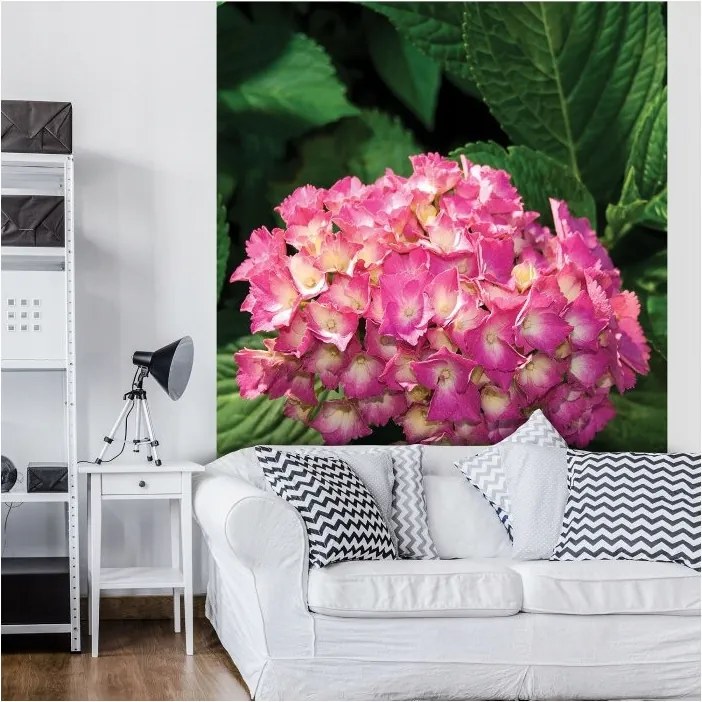 Fotótapéta Hortenzia Rózsaszín vinil természet a nappaliba 184x254 +ragasztó
