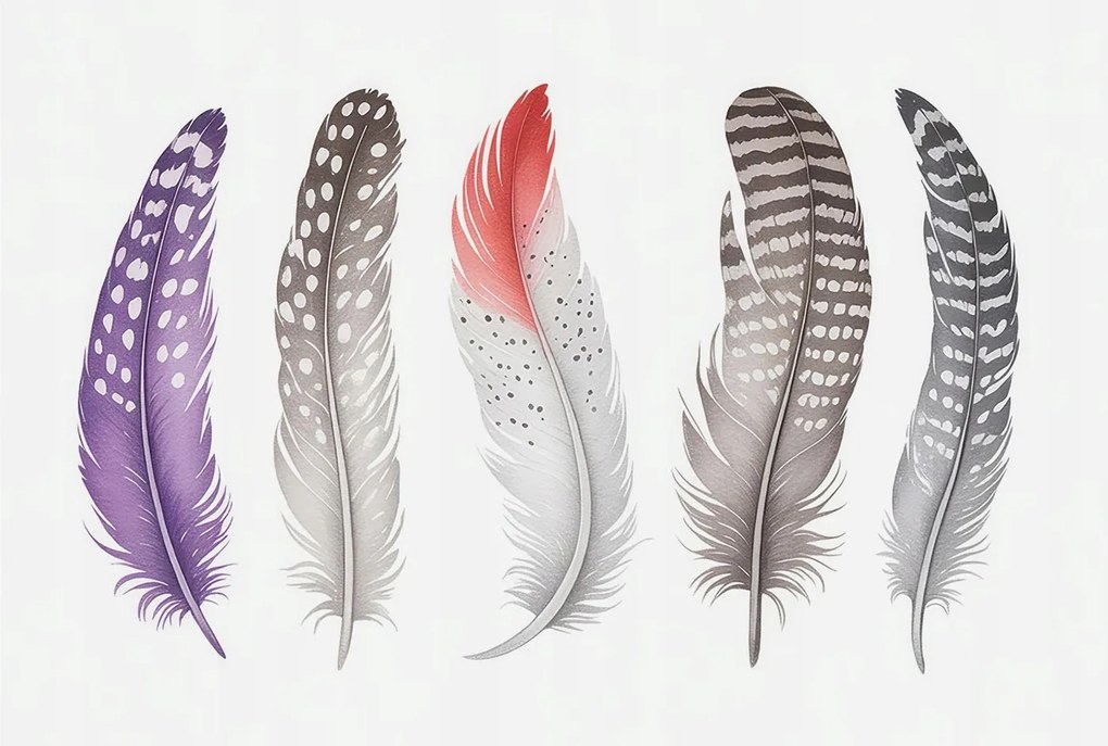 Flizelin fotótapéta Flizelin Design Mintás tollak 104x70