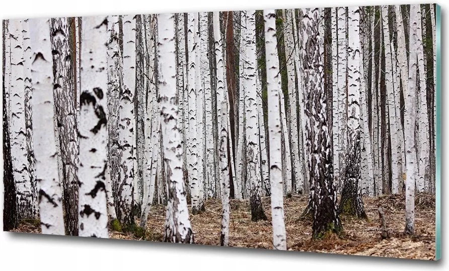 Fotó üvegkép Cseresznyevirágok háttér 100x70