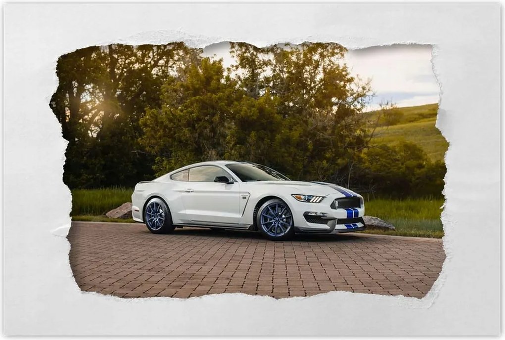 Poszterek 60x40 Ford Mustang Usa autó