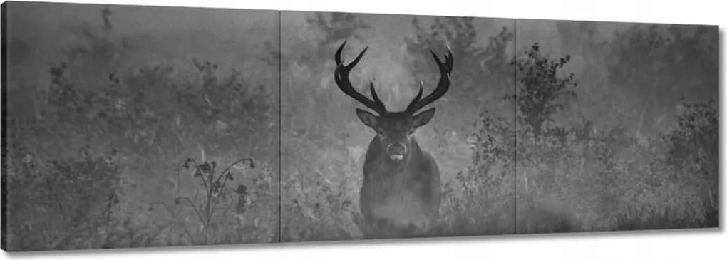 Festmények 120x40 Szarvas a ködben