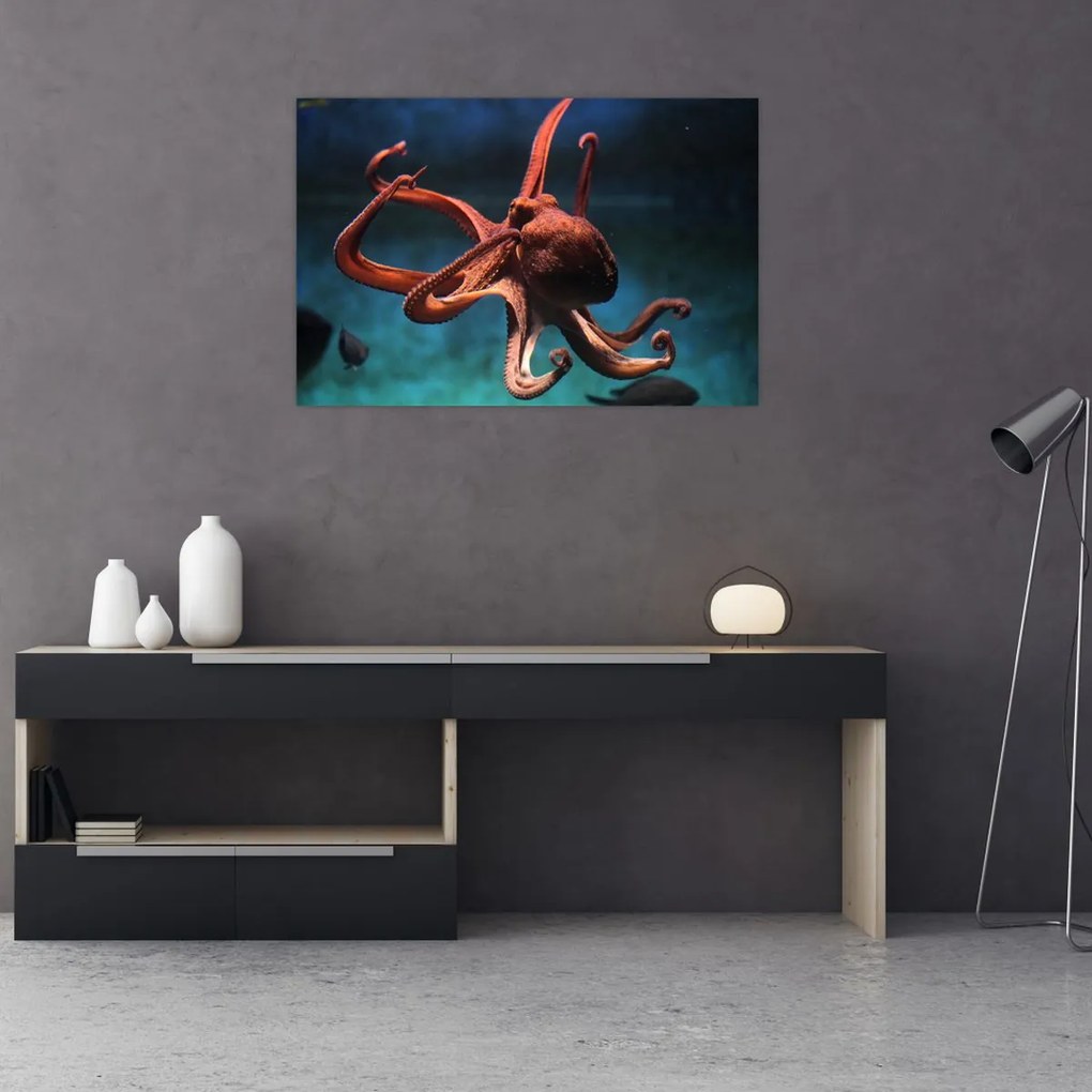 Kép - Octopus (90x60 cm)