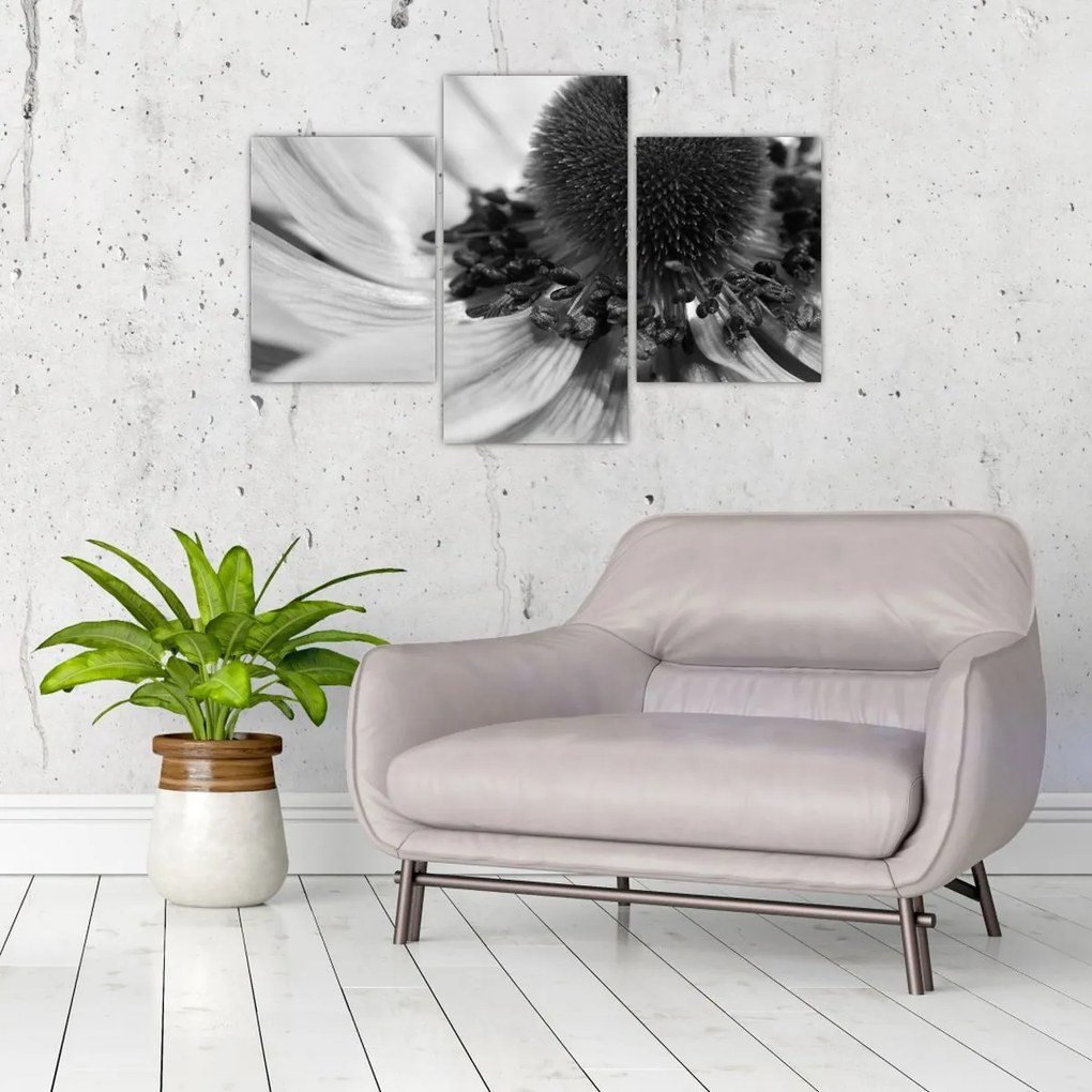 Kép - Virág fekete-fehérben (90x60 cm)