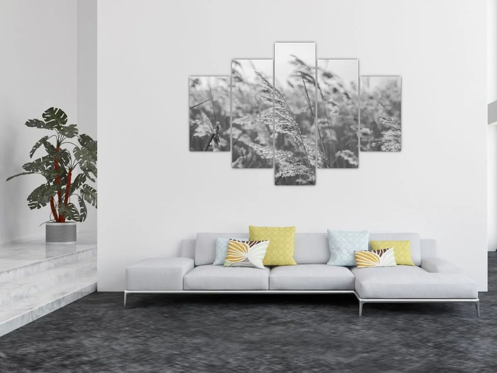 Kép - Fű a szélben (150x105 cm)