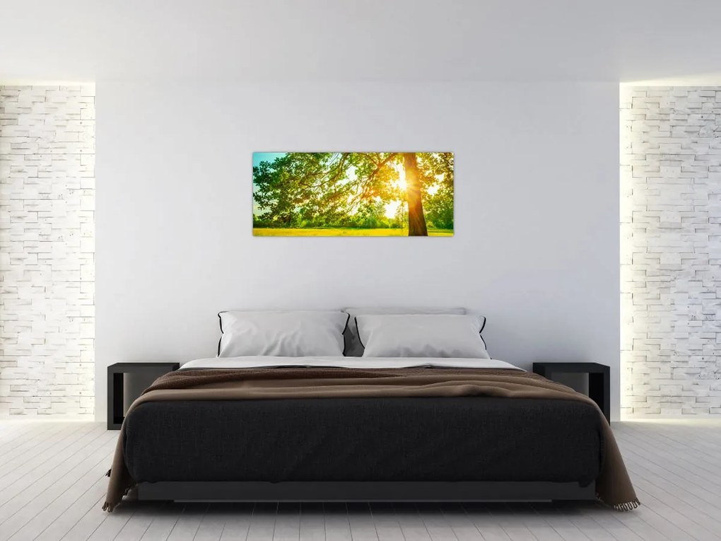 Kép - Sunny Forest (120x50 cm)