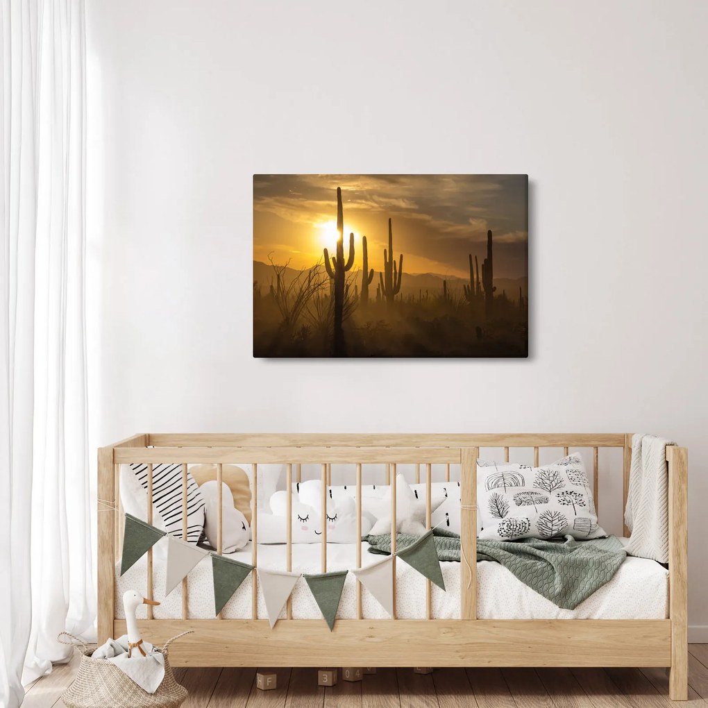 Kép - Saguaro kaktuszok (90x60 cm)