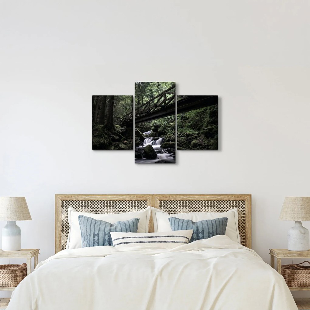 Fekete erdő képe (90x60 cm)