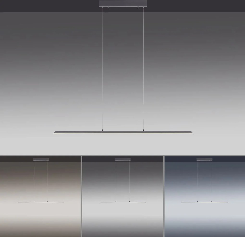 Paul Neuhaus modern függeszték pure-lite antracit pln8375-13