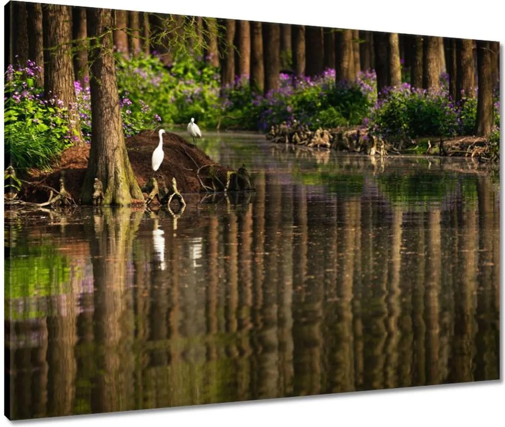 Vászonkép 80x60 Tájkép Látvány