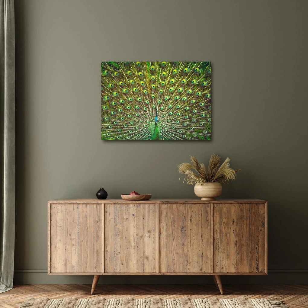 Kép - Páva (70x50 cm)
