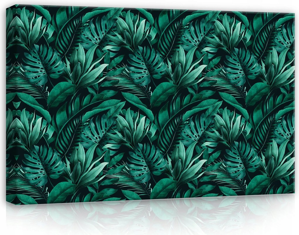 Vászonkép 60x40 Trópusi levelek monstera zöld természet dzsungel egzotikus