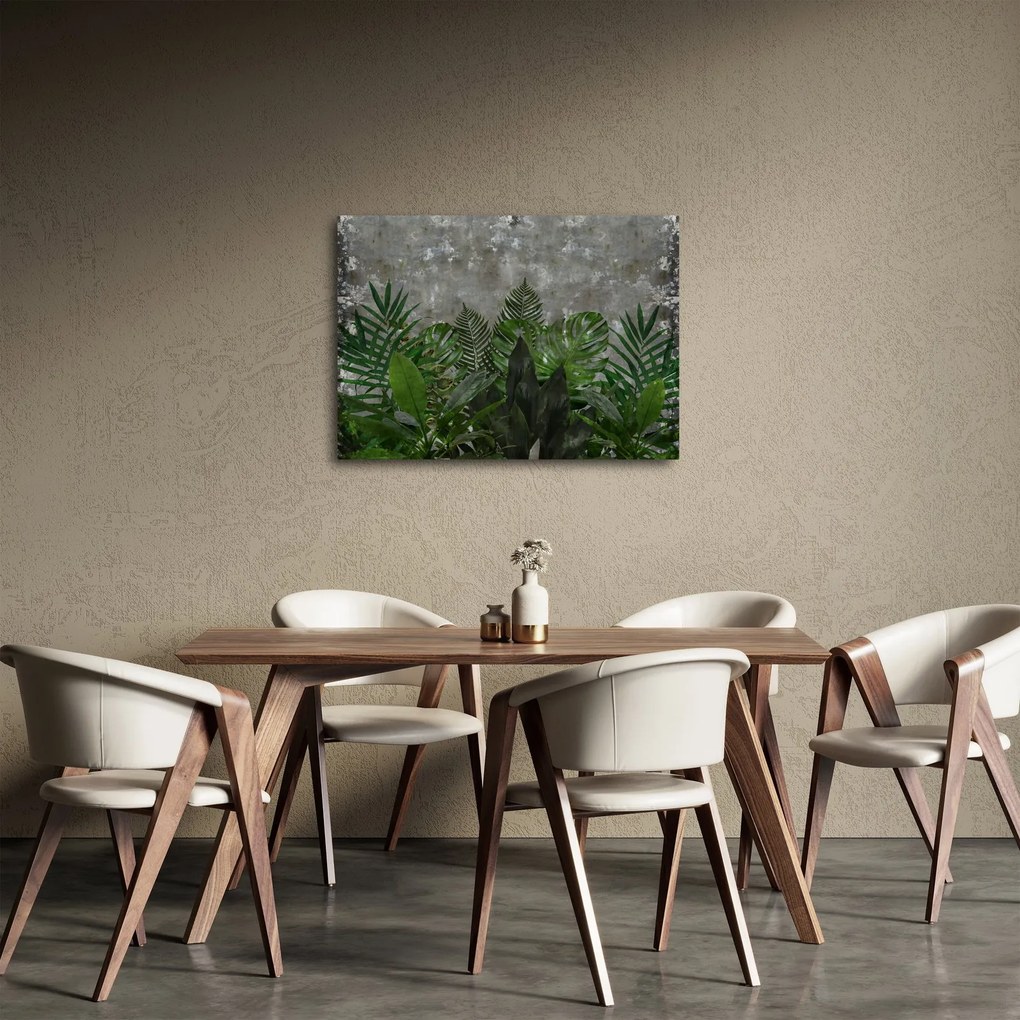 Kép - Betonfal növényekkel (70x50 cm)