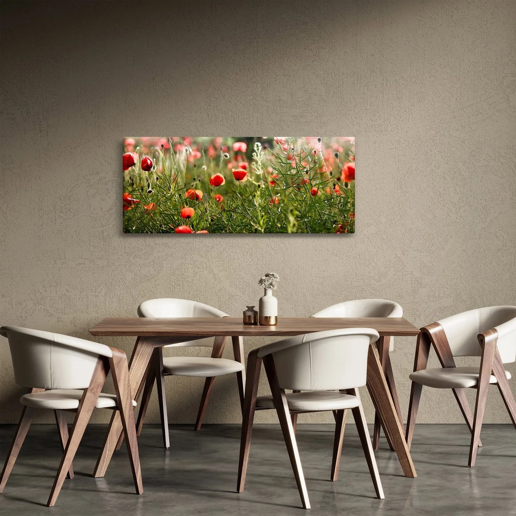 Pipacsok képe (120x50 cm)