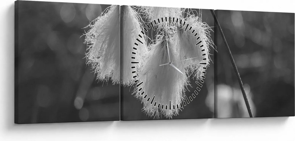 Kép - Cottongrass (órával) (90x30 cm)