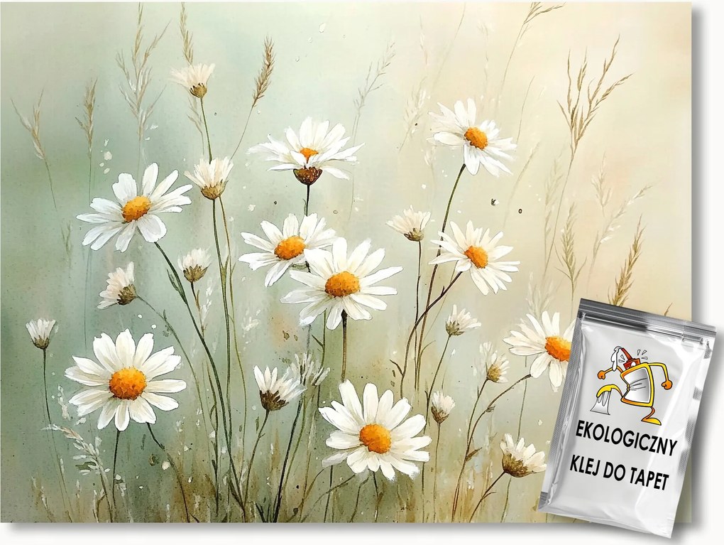 Fotótapéta Flizelina Kert Rét Virágok Margaréta 300x210 ragasztó