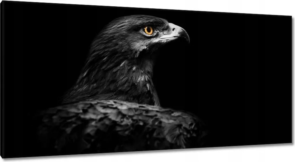 Vászonkép 115x55 Sas fekete alapon