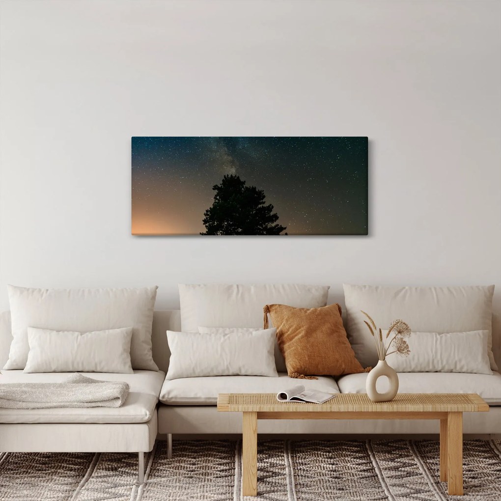 Egy éjszakai égbolt fákkal képe (120x50 cm)