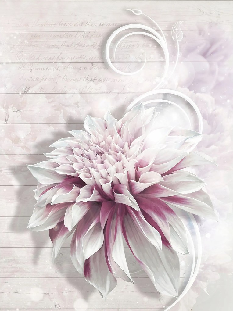 Fotótapéta Fehér-rózsaszín virágok vinil elegancia 184x254 +ragasztó