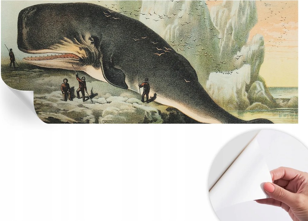 Fotótapéta Öntapadós Fali Falfestmény Tengeri óriás 250x104 cm