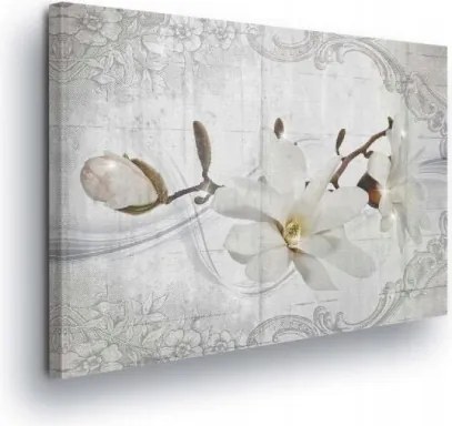 Vászonkép 100x75 Magnólia virág finomság tavasz virágzás botanika vintage