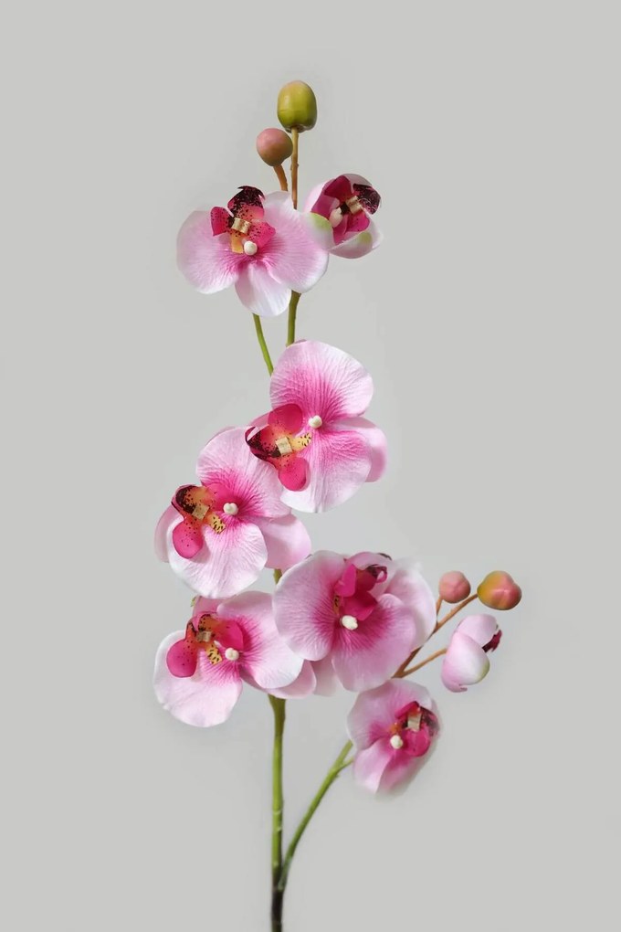 Fehér-rózsaszín mű orchidea 80cm