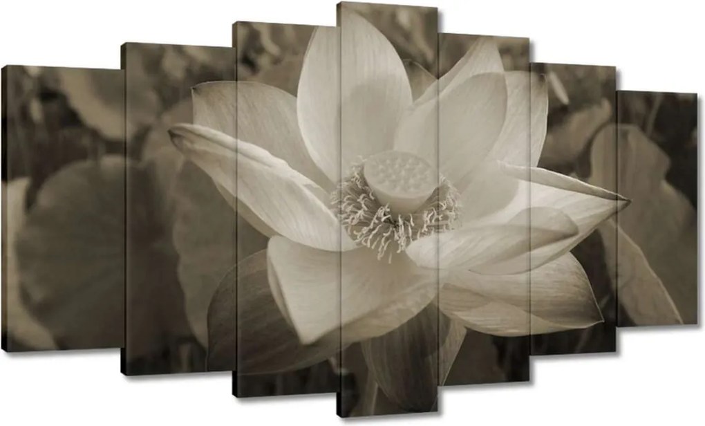 Vászonkép 140x80 Lótusz Lótuszvirág