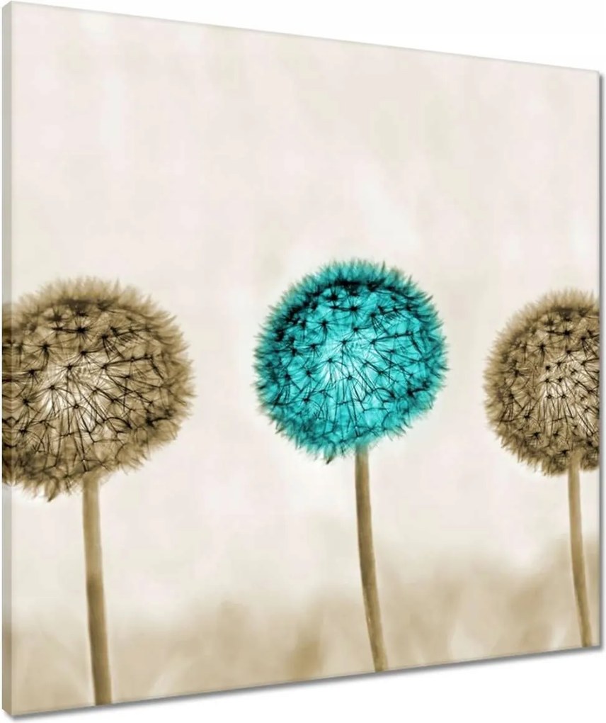 Vászonkép 60x60 Wenge és kék