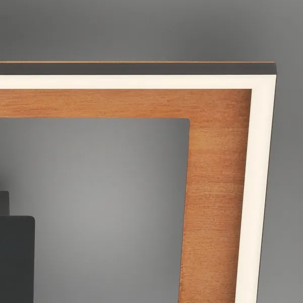 Brilo - LED Dimmelhető felületre szerelhető csillár FRAME 2xLED/11W/230V