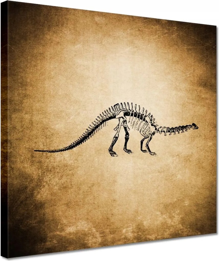 Vászonkép 30x30 Dinoszaurusz őstörténet Dino