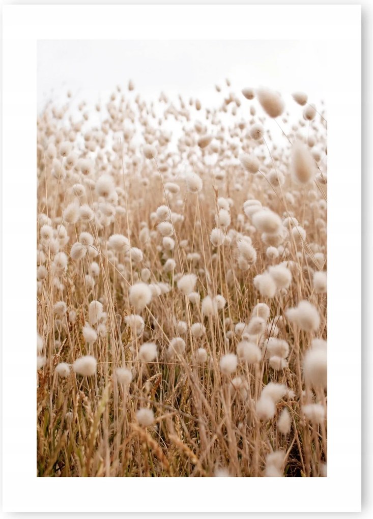 Boho fű bézs poszter 50x70cm #109