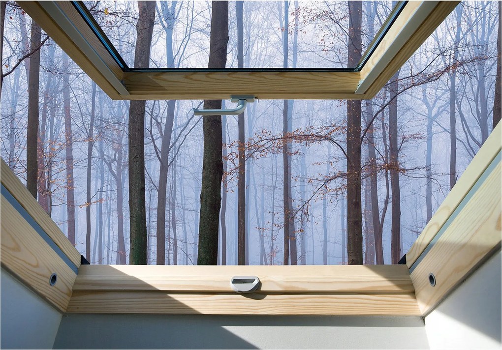 Fotótapéta Téli erdő ablakból vinil tájkép 416x290 +ragasztó