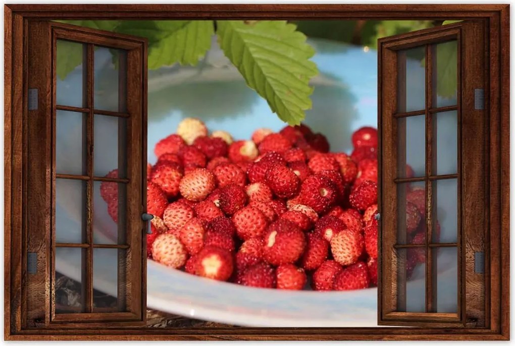 Poszterek 90x60 Erdei szintek