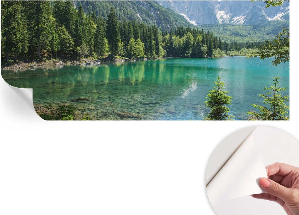 Modern öntapadós fali fotótapéta Zöld tó 250x104 cm