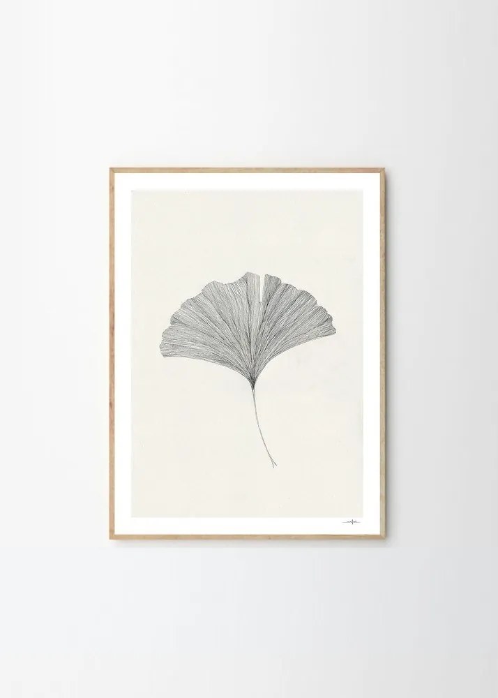 Poszter 50x70 cm Ginkgo Leaf – Ana Frois – The Poster Club