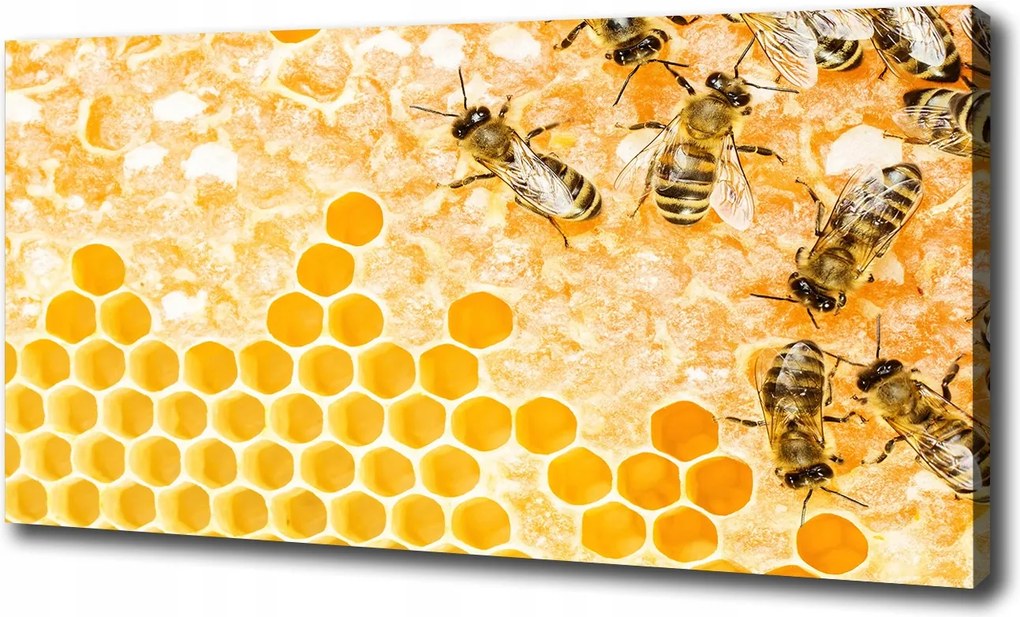 Vászonkép Dolgozó méhek 100x70 cm
