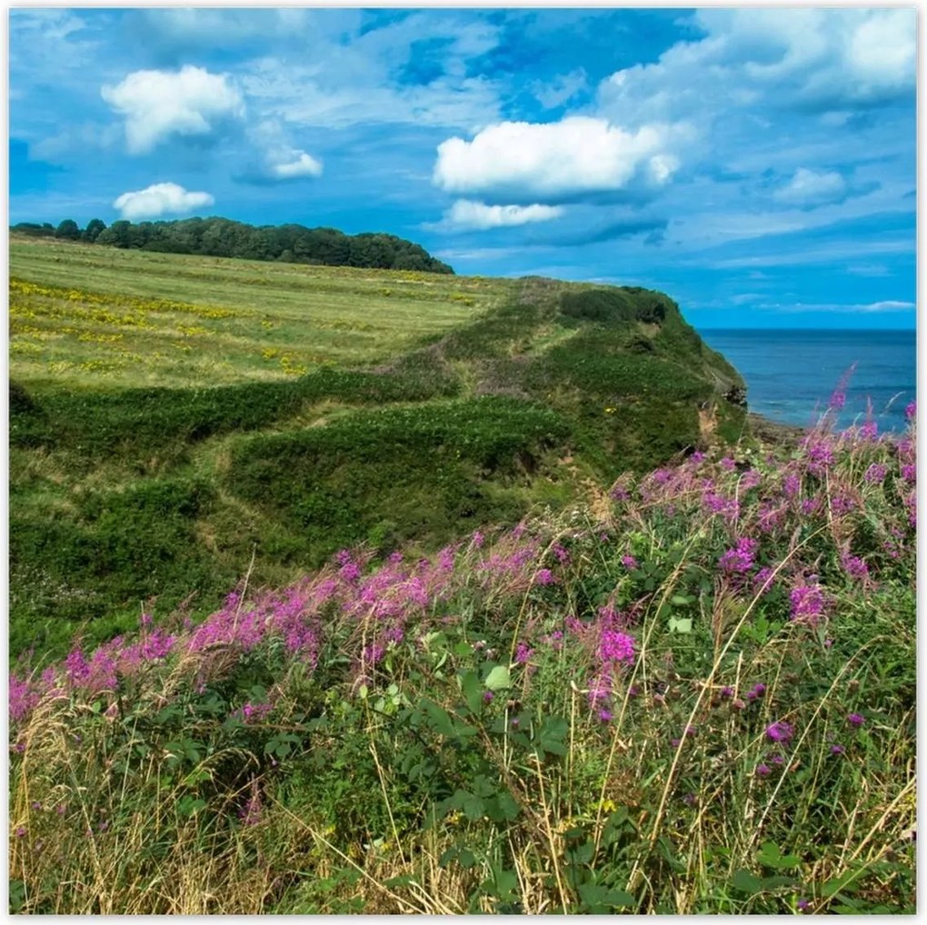 Poszterek 140x140 Virágos rét a tengerparton