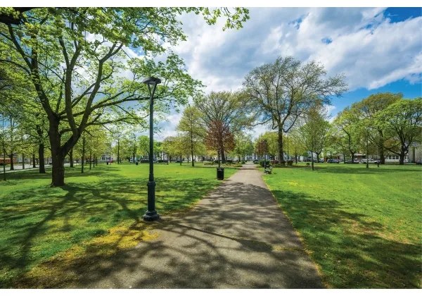 Kanlux 36435- LED Utcai világítás PARCOLI LED/30/40/50W/230V 3000/4000/6500K IP66