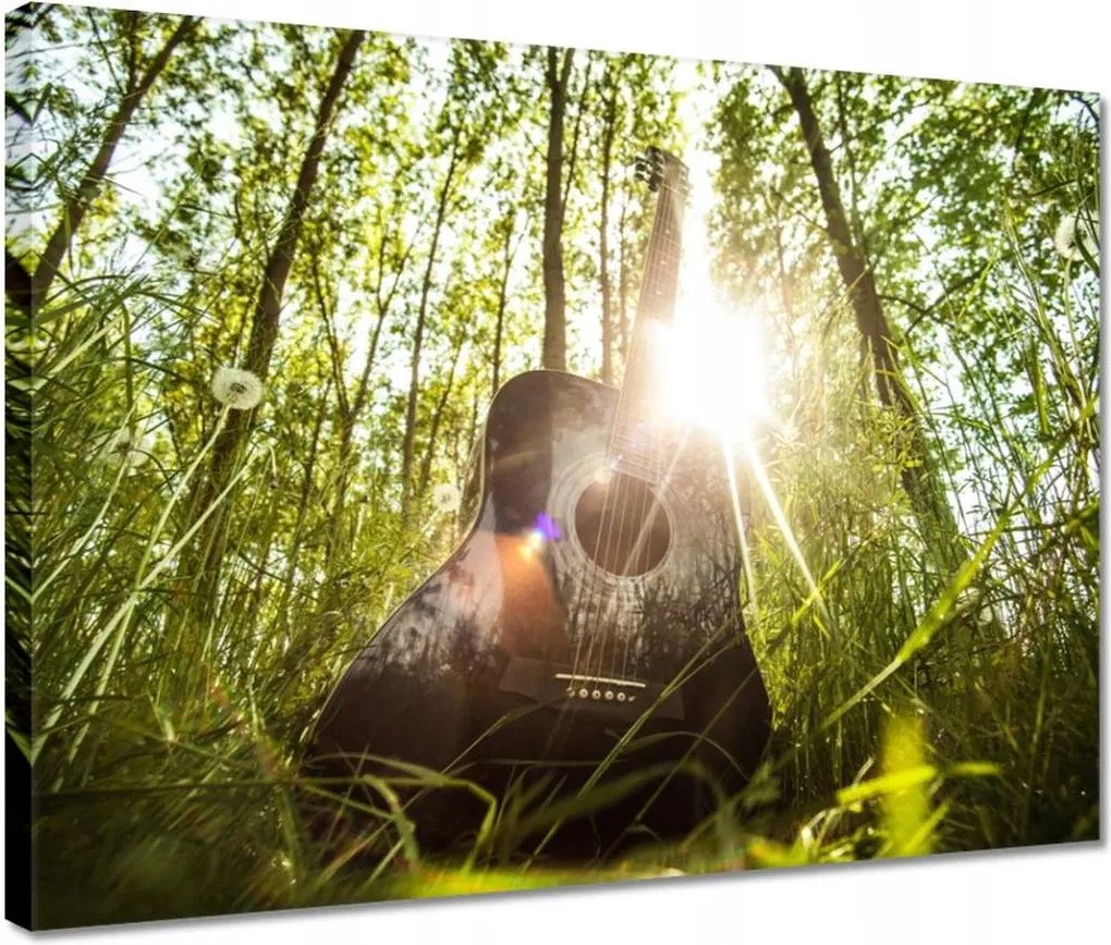 Festmények 40x30 Gitár