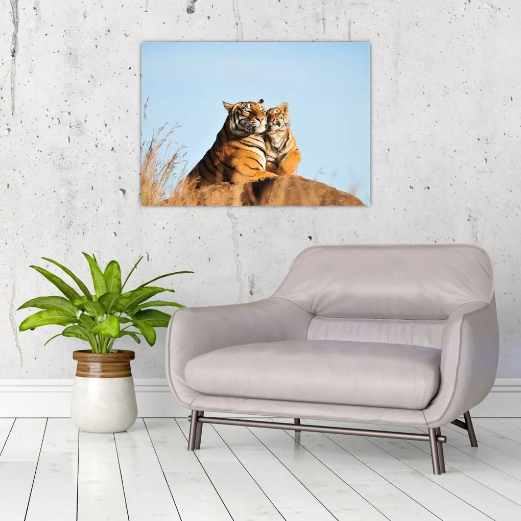 Kép - Tigris és a kölyke (üvegen) (70x50 cm)