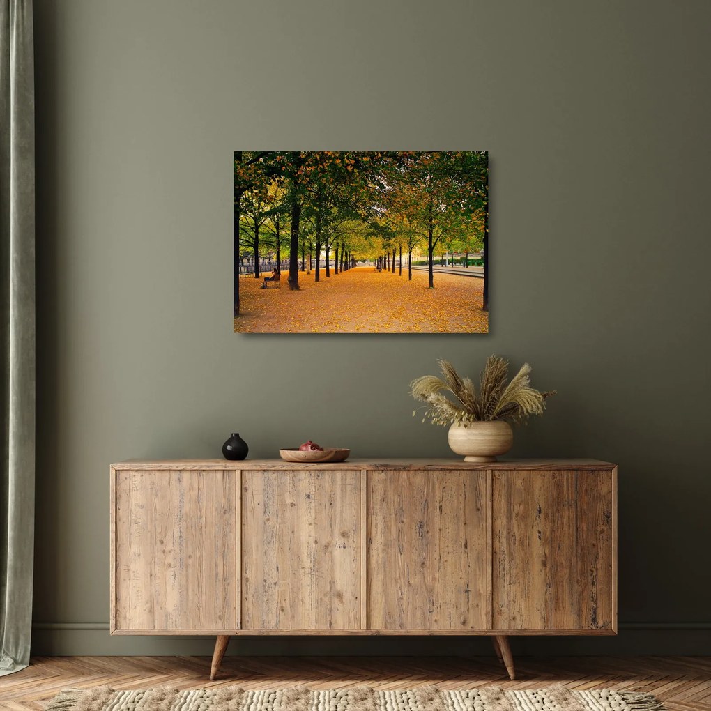 Egy kép az őszi fák sikátorából (üvegen) (70x50 cm)