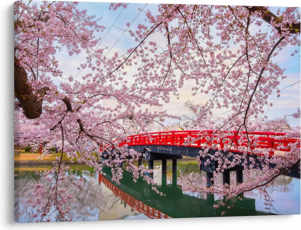 Kép - Hirosaki, Japán (70x50 cm)