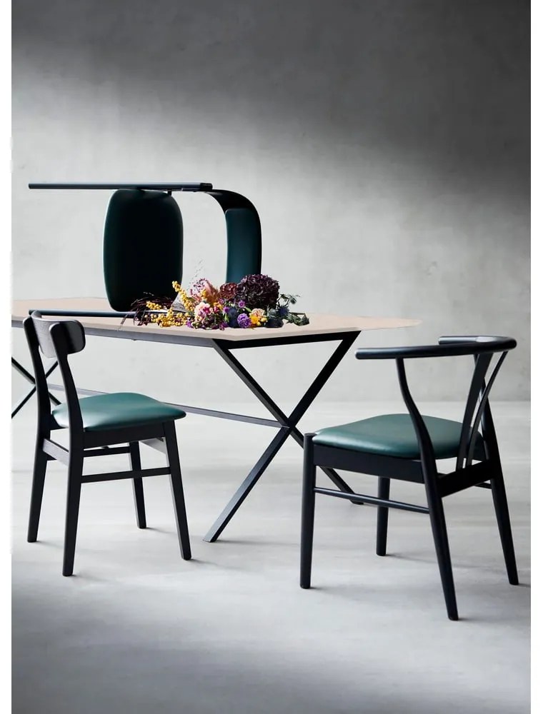 Meza étkezőasztal tölgy dekorral, 210 x 100 cm - Hammel