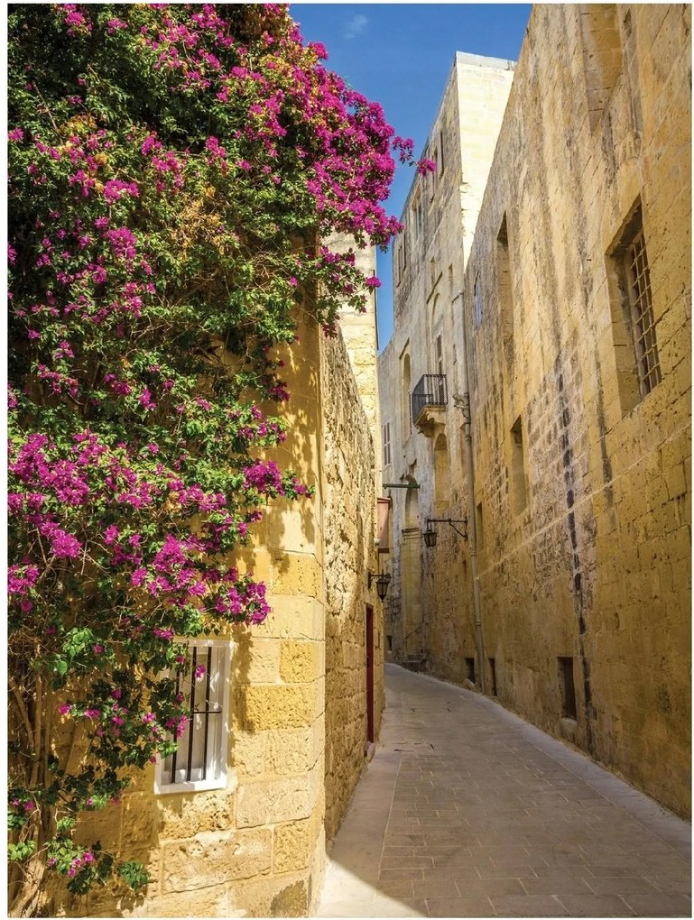 Fotótapéta Utca Toszkánában Virágokkal 184x254