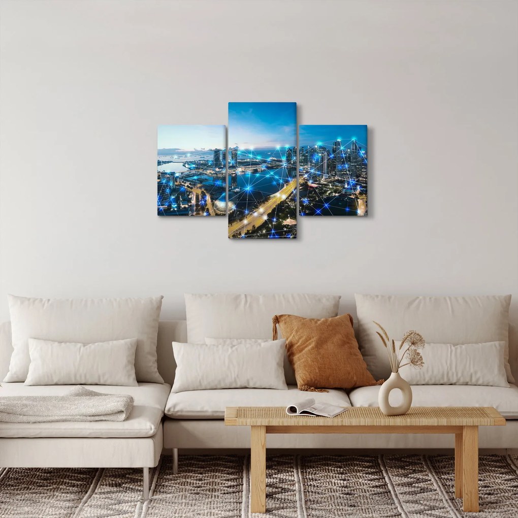 Kép - Városhálózat (90x60 cm)