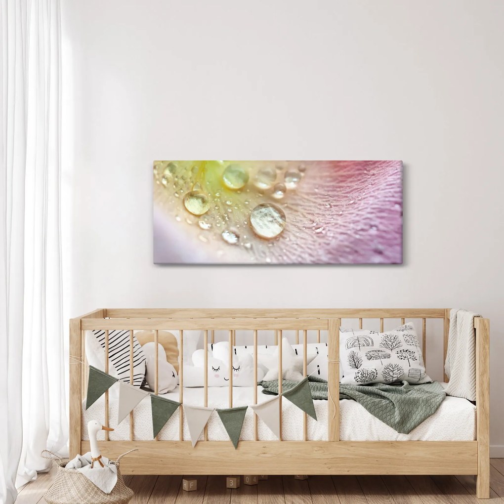 Kép - Harmatcseppek (120x50 cm)