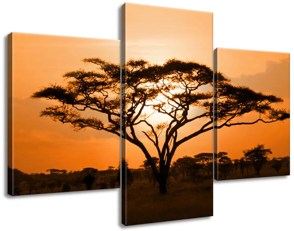 Gario Vászonkép Gyönyöru afrikai táj - 3 részes Méret: 90 x 30 cm