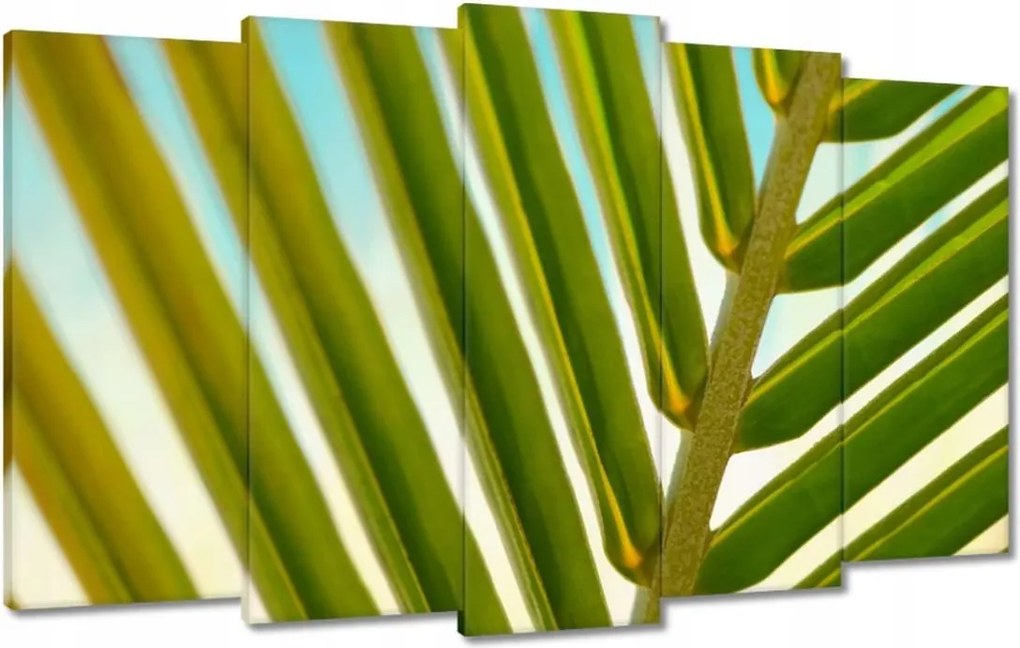 Vászonkép 100x60 Pálmalevél Levél