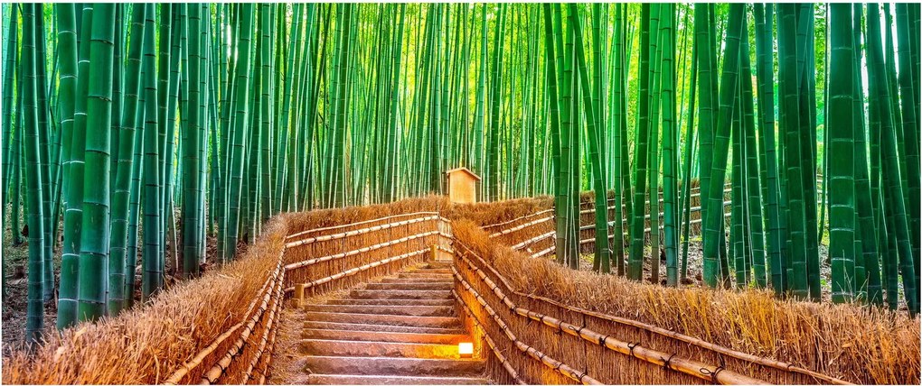 Kép - Japán bambusz erdő (120x50 cm)