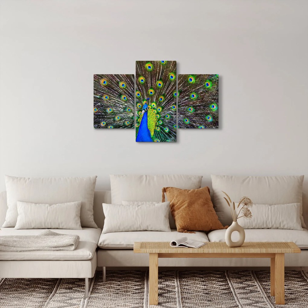 Kép - Páva (90x60 cm)