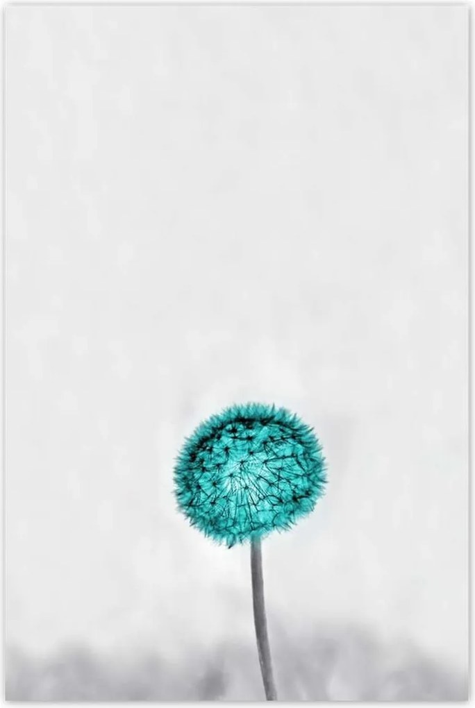 Poszterek 80x120 Türkiz remete